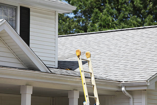 Best Hoarding Cleanup  in USA